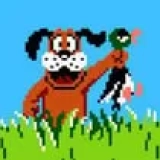 Duckhunt